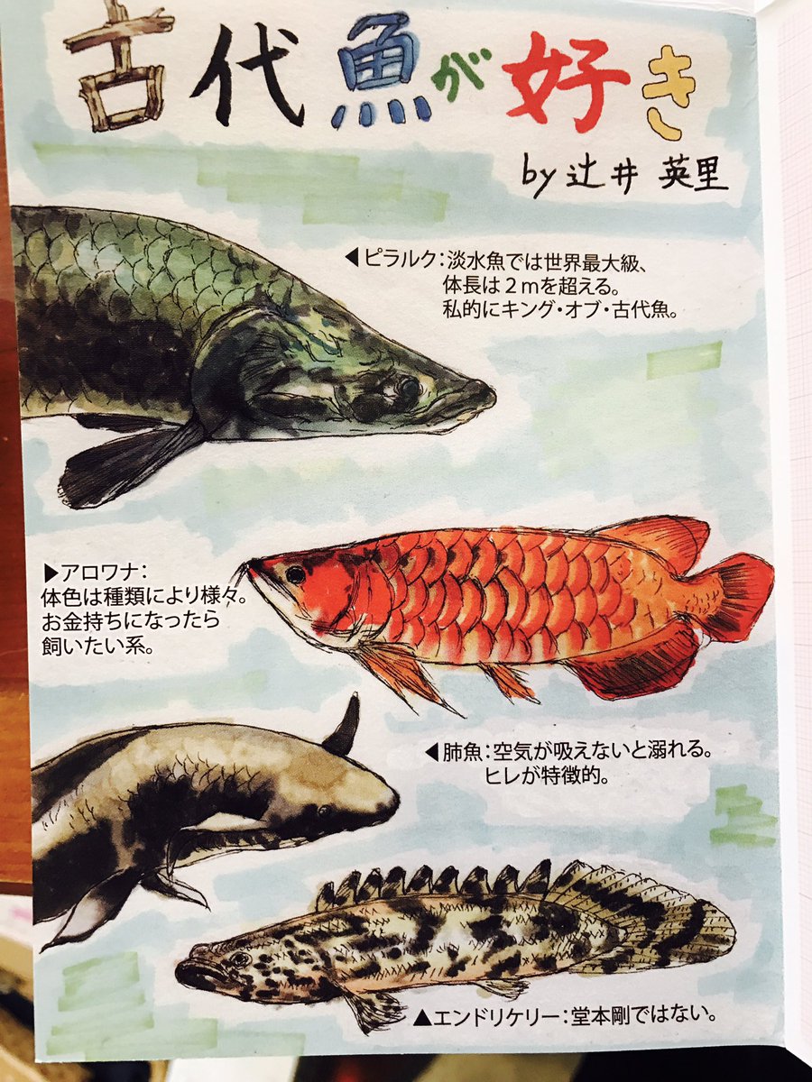 カエル神所長 ひより 先日から置いてるフリーペーパー遊撃手を探してで 古代魚のイラストが載ってました 良い絵 最近 生命40億年全史ていう本読んでるので古代の生物が気になる T Co Ul2fcjnlwd Twitter