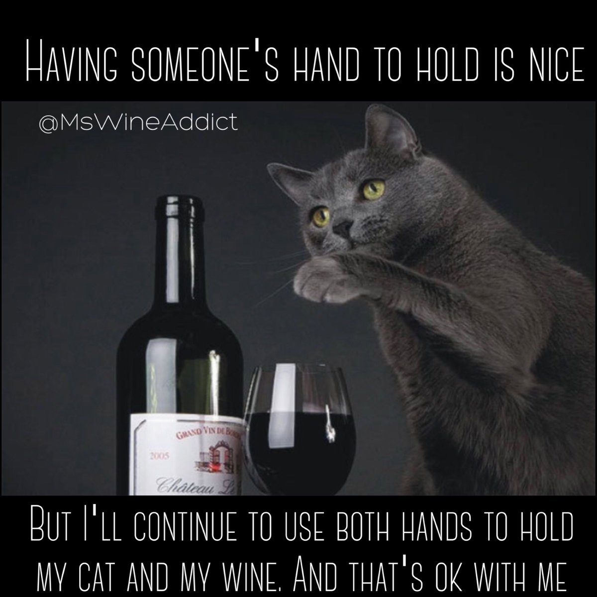 MsWineAddict's tweet photo. A hand to hold or your #cat and #wine.. what would you choose @winewankers ? https://t.co/YtQ3FbXSrm