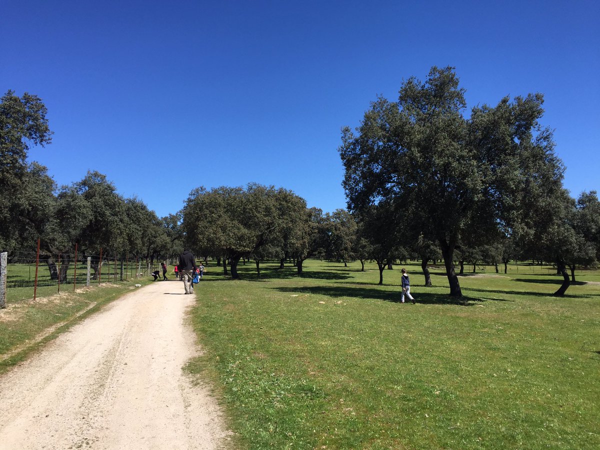 hellospain_de's tweet image. Unter den Eichen #Cardeña