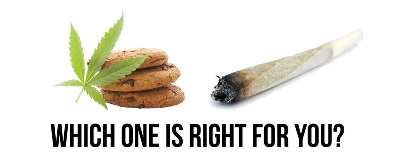 ThinkTankExile's tweet photo. The Edible High vs. The Smoking High https://t.co/bVyv7qtkNR https://t.co/FH1ZGAuHIa