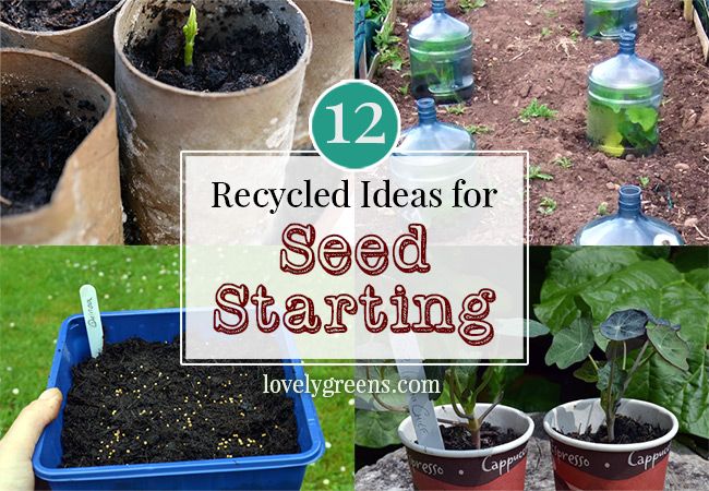 12 Seed Starting Ideas using Recycled Materials 🌿 bit.ly/2nRkHBh #gardening #recycle