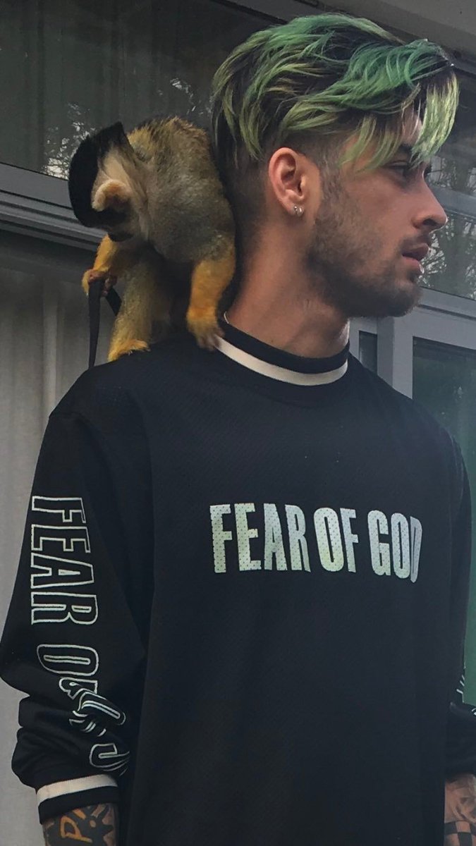 ZFN on X: ZFN on X: