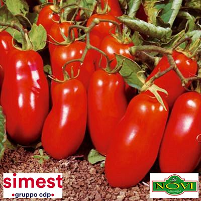 SIMEST_IT's tweet photo. Grazie a #SIMEST #Novisrl ha partecipato a @SIALMiddleEast #EAU #storiedisimest @GruppoCdp #promuoviamoilfuturo 🇮🇹🇦🇪 https://t.co/pvTnpcLXKI https://t.co/POWRfqMI6q