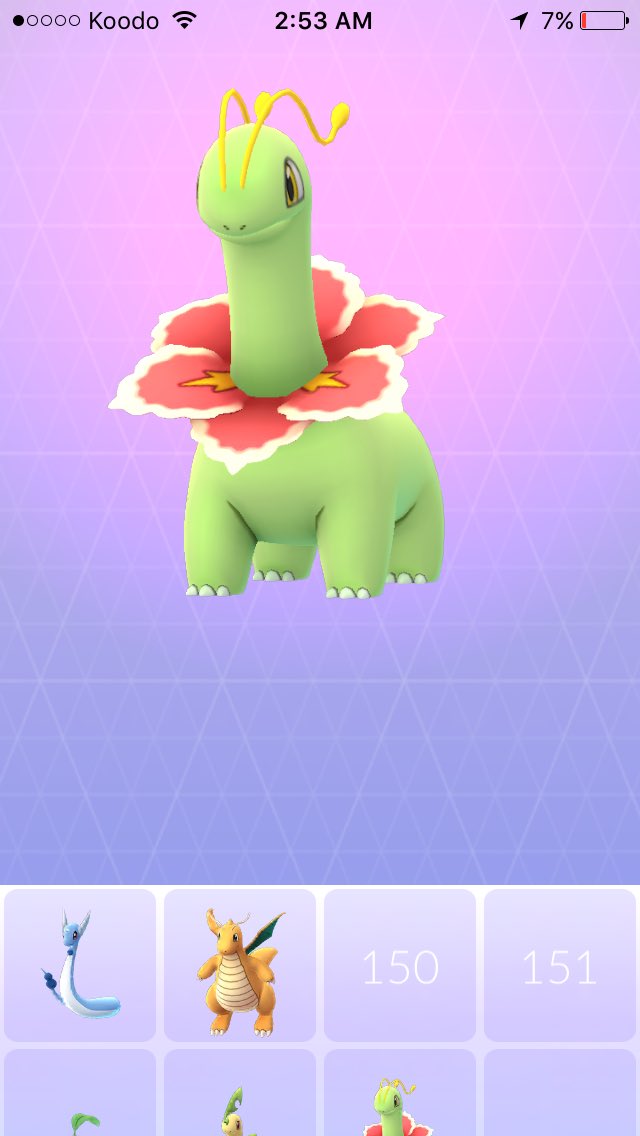 tinytacoturtle's tweet photo. EVOLUTION OF THE DAY !!! Ehhhhh finally found a chikorita worth evolving !!! #PokemonGO #TeamInstinct https://t.co/QzzzEaVAem