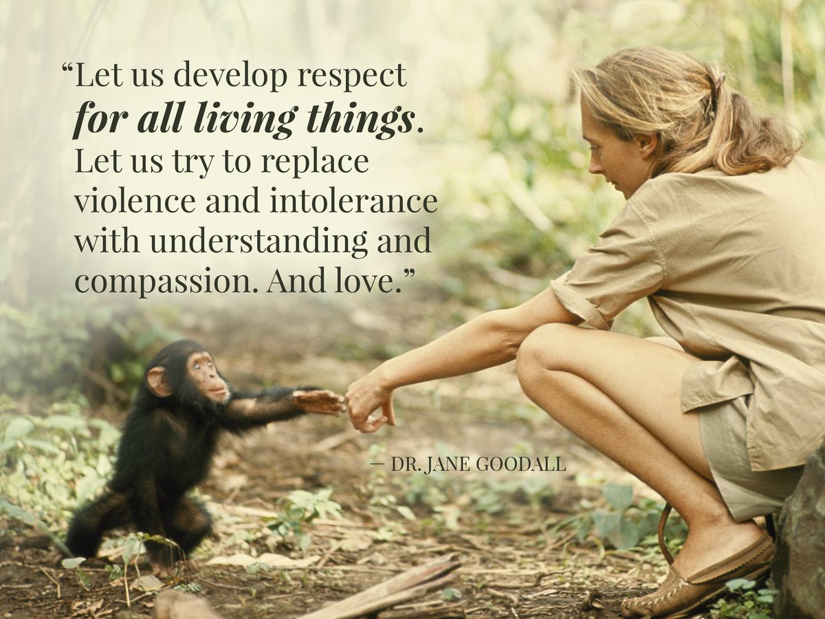 Happy Birthday, Dr. Jane Goodall.    