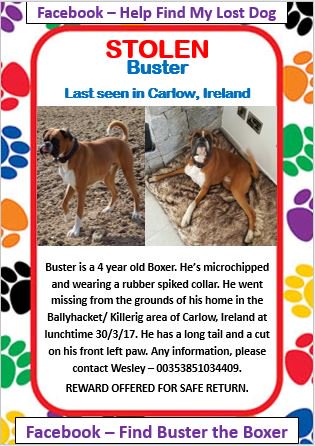 Boxer_lab's tweet image. #STOLEN It's one of the children's birthdays today &amp;amp; all she wants is for #Buster to come home 😔@DogTheftAction @MissingPetForum @ukanimals