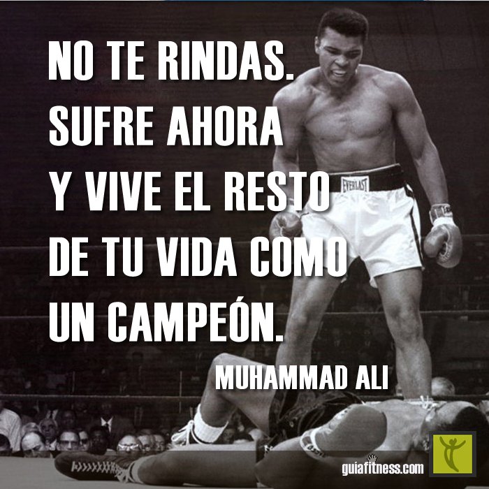 ProyectGym's tweet photo. ¡¡¡MOTIVACIÓN!!! https://t.co/2JJKO1vpC7