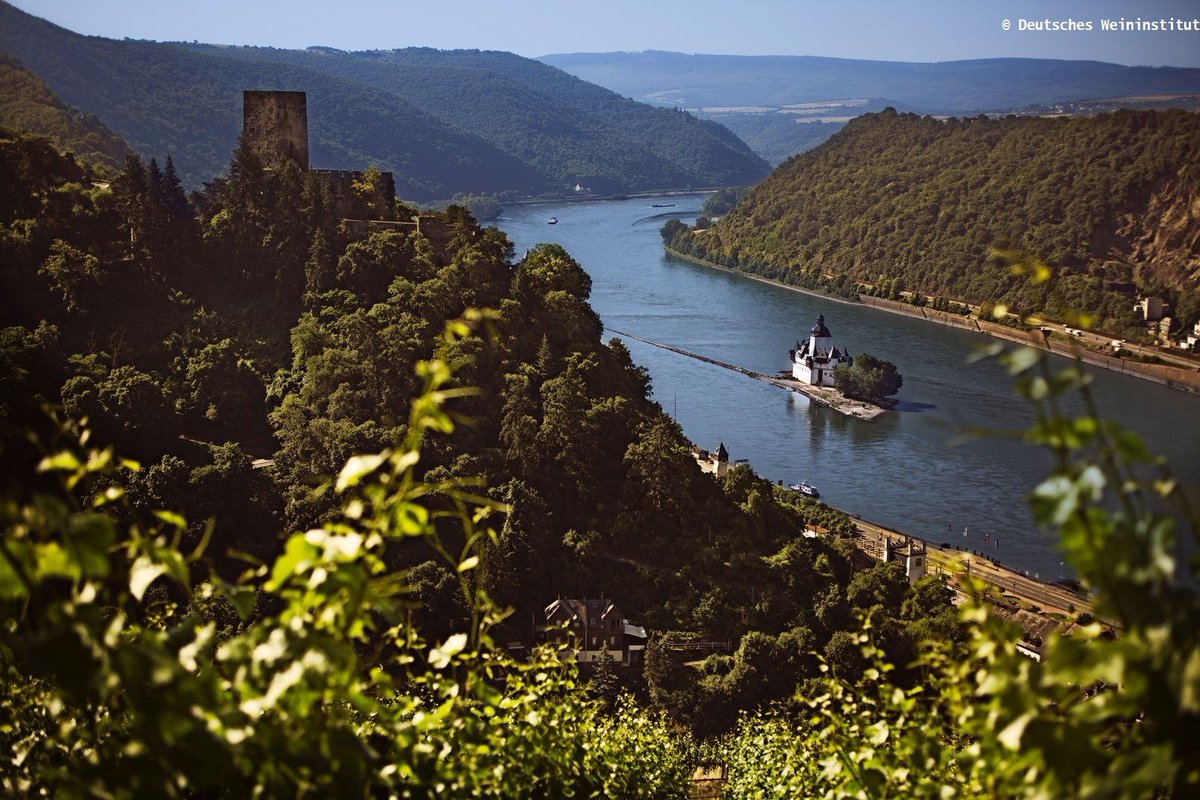 Река одер в германии. Река одра в чехии. Кобленц германия лореляй. Река трех цветов. Rushing river.