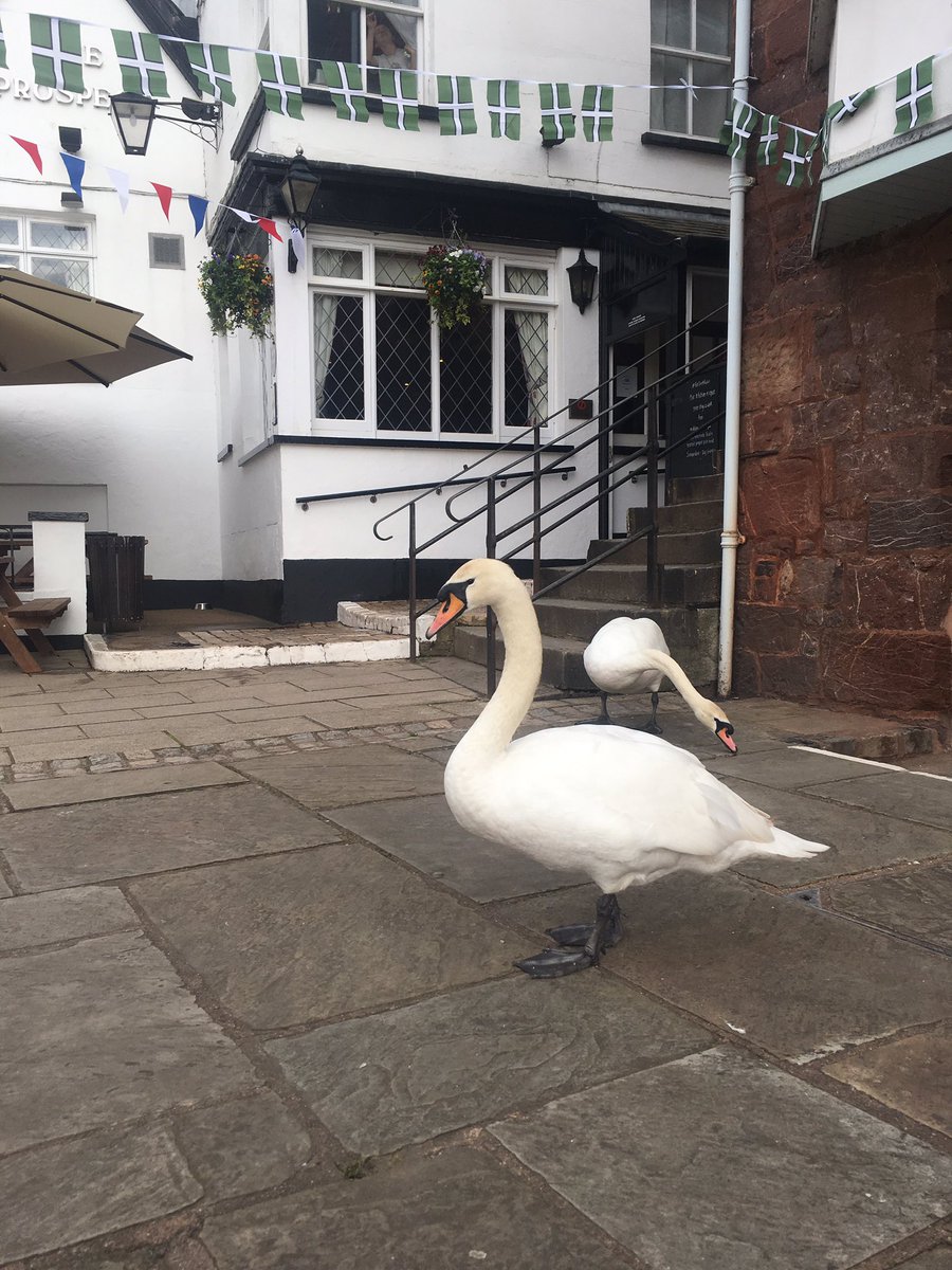 We have a queue at the door / perhaps a little early for a pint of <a href="/otterbrewery/">Otter Brewery</a> ale? #swans #ExeterQuay #EatDrinkRelax #independent #pubs