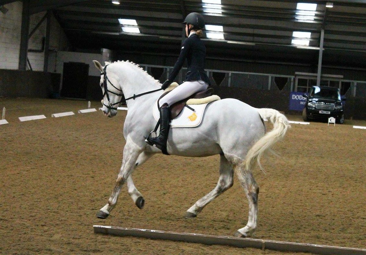 BWoodhead__'s tweet photo. Fab day out at NSEA for some dressage yesterday! Prelim team came 2nd, in the novice, the team was 1st and we got 3rd as individuals! https://t.co/8mTswCYYZO