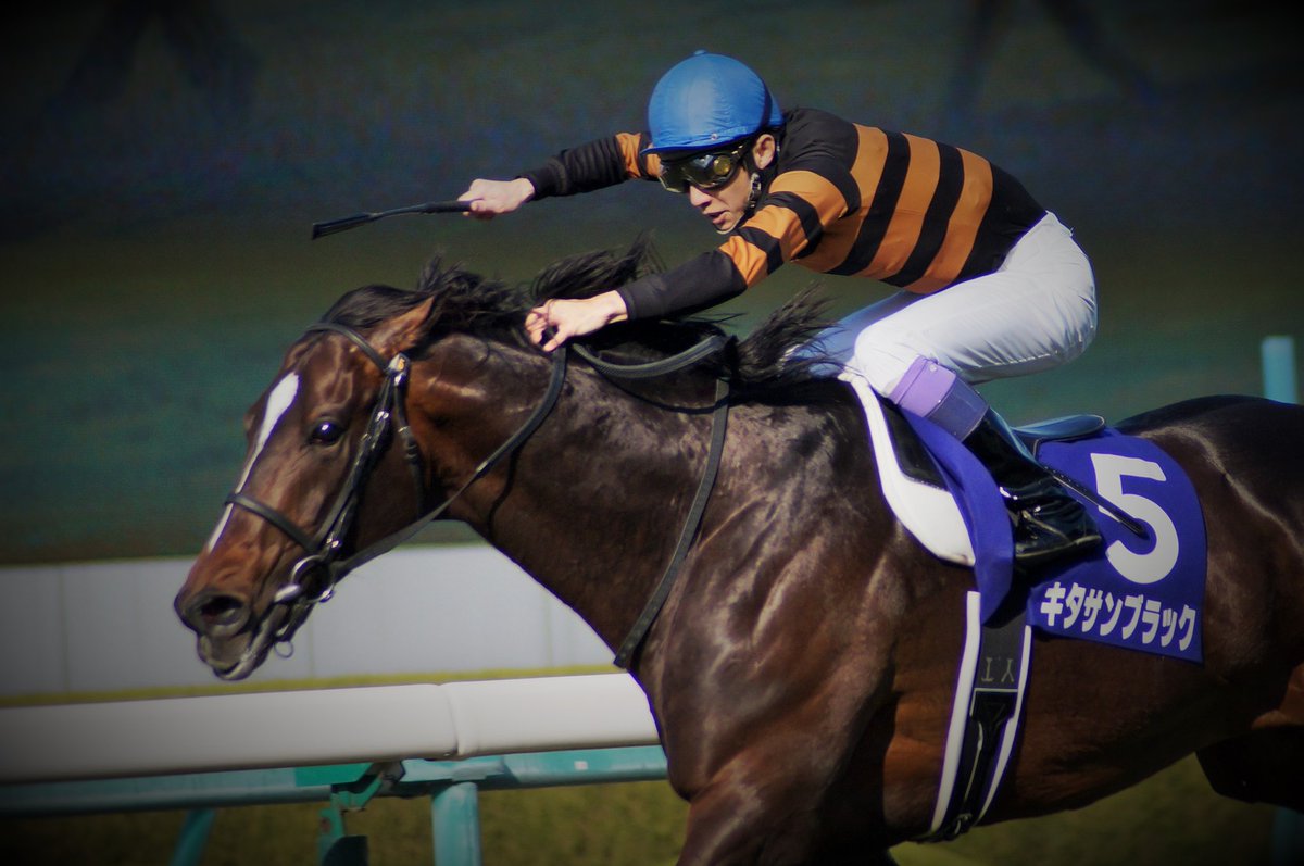 ゆーすけ 競馬写真 武豊右鞭が唸る これが撮りたかったんよ豊さんの笑