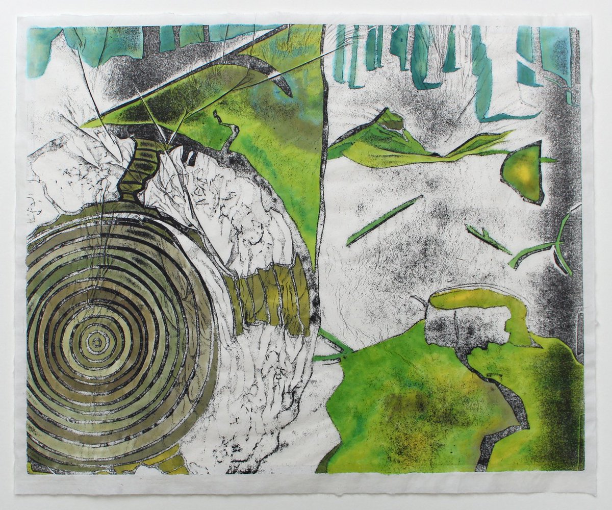mollylemonart's tweet photo. Fallen Tree 2017 A/P 
#print #printmaker #printmaking #art #landscape #landscapeart #fallentree #tree #nature #britishcountryside #artist https://t.co/3OYaDJNcXj