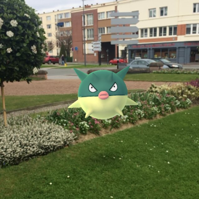DomWolves's tweet photo. Qwilfish https://t.co/HMAb7ZgZ8D #PokemonGo #PokemonGoPhoto https://t.co/ah2nFxiu7O