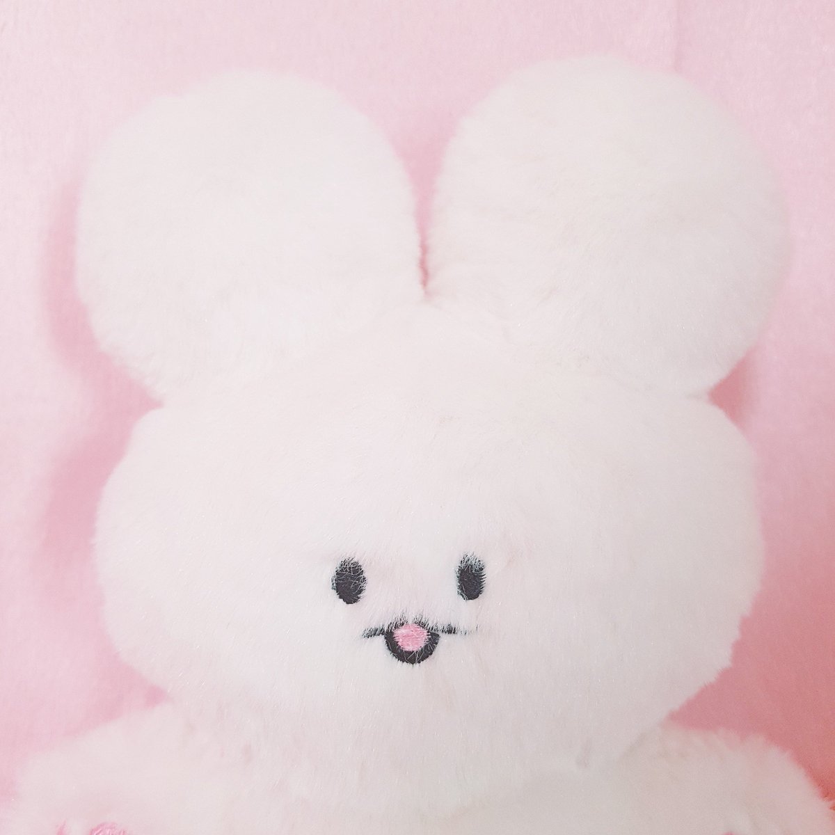 puppy_hyunny's tweet photo. 💘복슬이 상세샷입니다💘 https://t.co/laJTS7D6DD