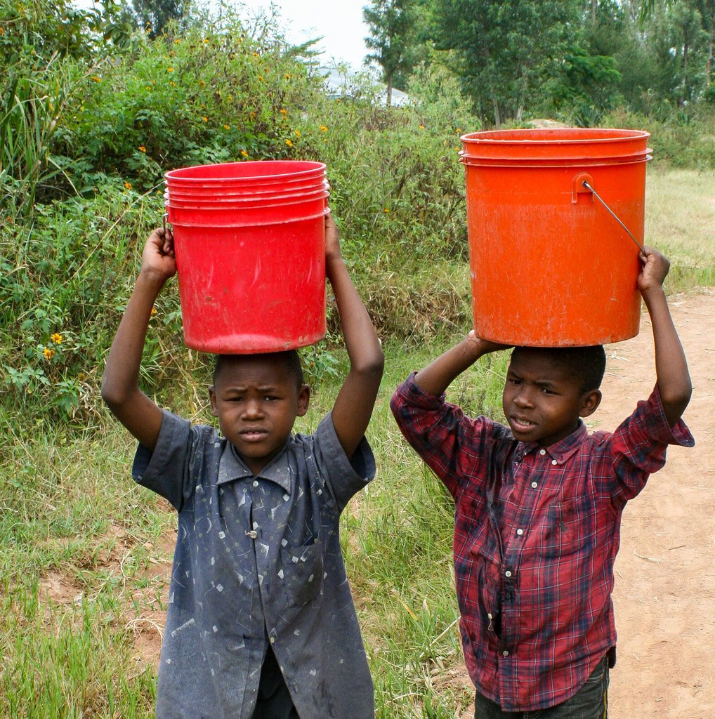 Wonderful Foundation tweet media