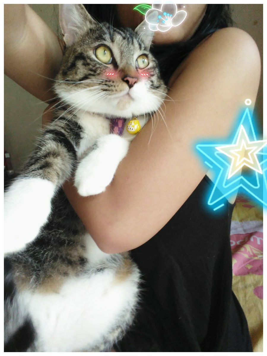 jodoh yg ketuker (@theyniabali) on Twitter photo 