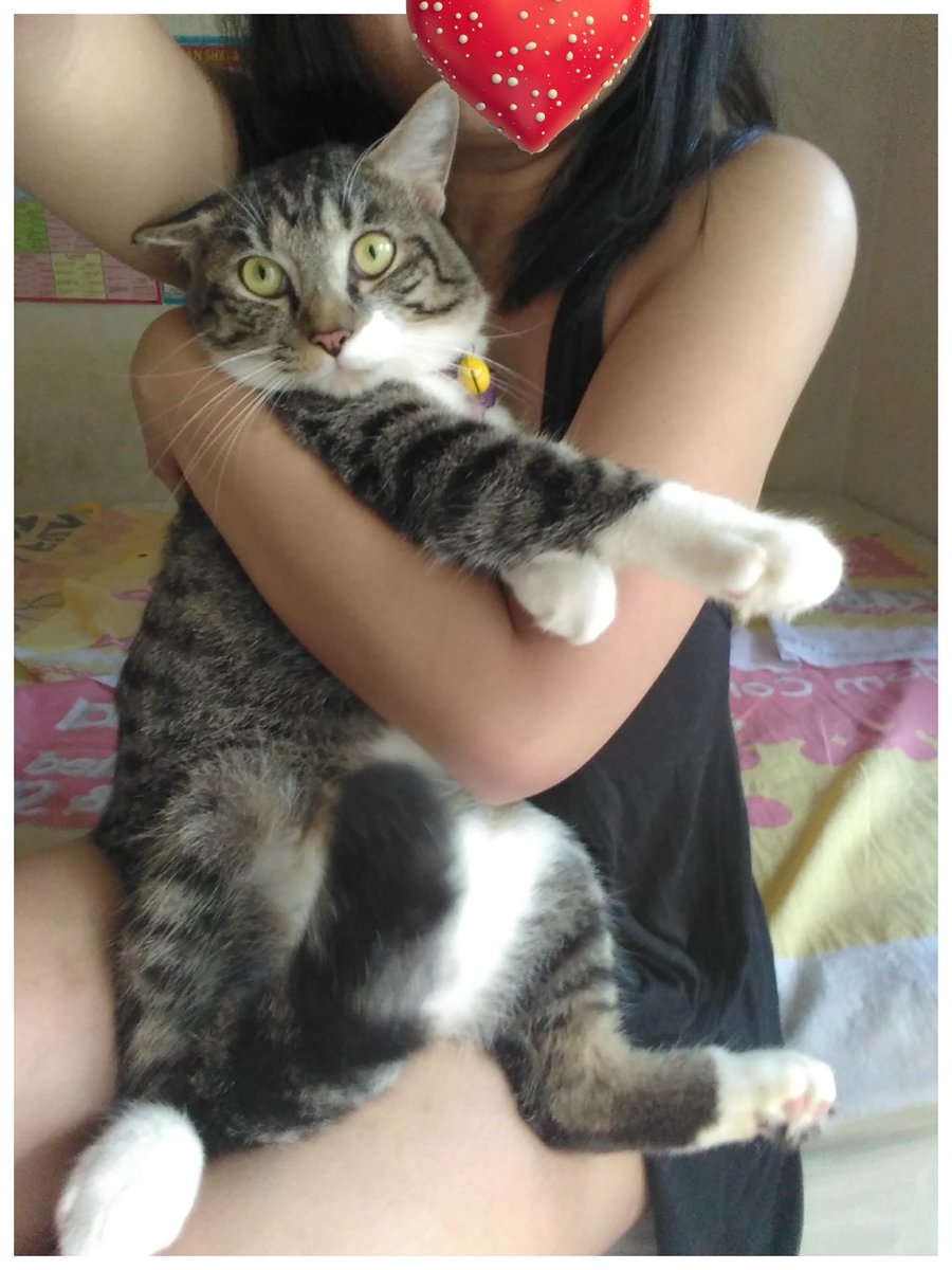 jodoh yg ketuker (@theyniabali) on Twitter photo 