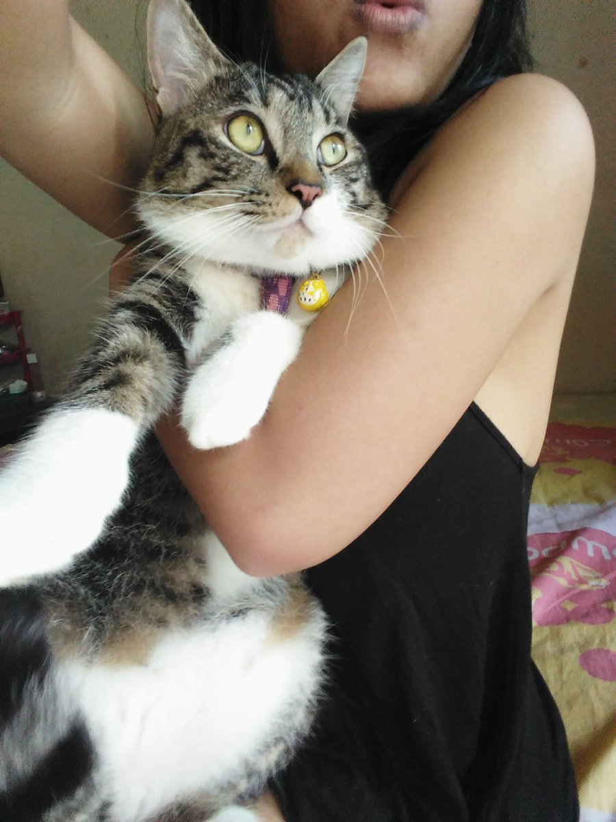 jodoh yg ketuker (@theyniabali) on Twitter photo 