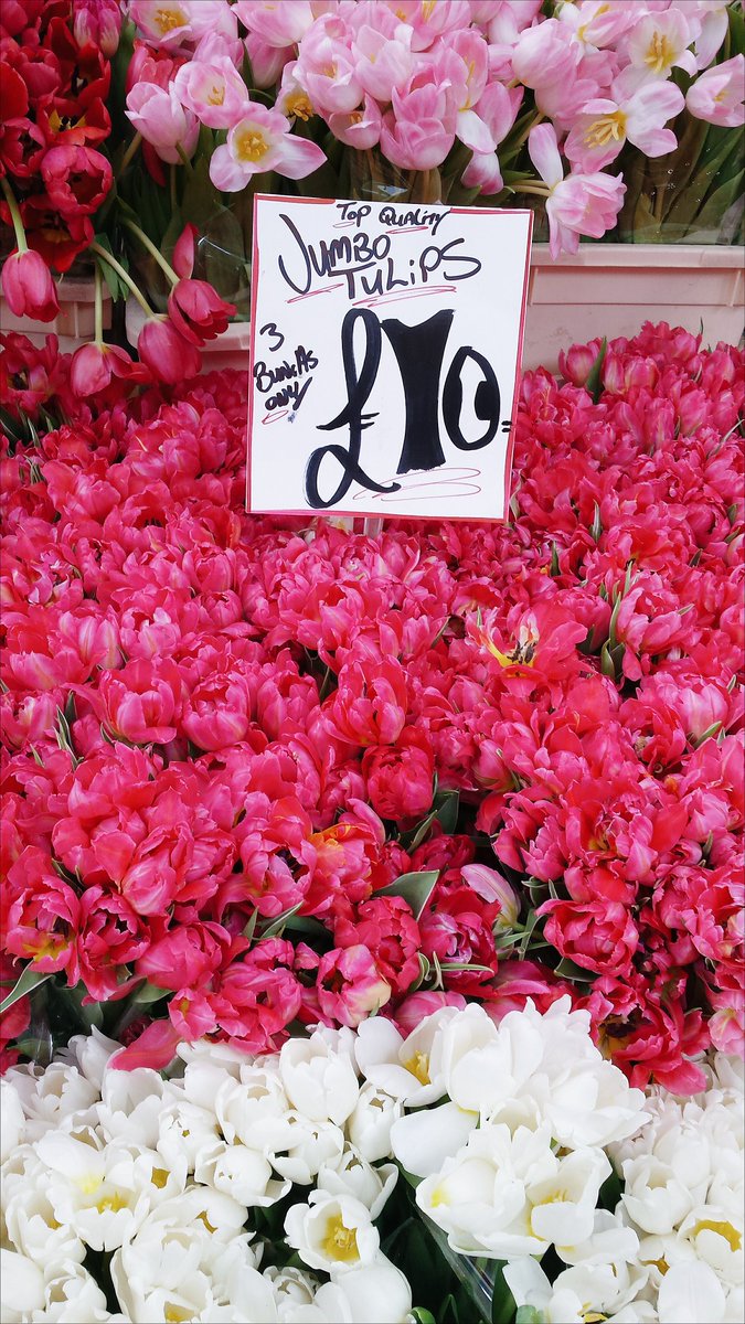 dafniwashere's tweet photo. The Columbia Road Flower Market is the place to be on Sundays! 🌷🌹 https://t.co/vJJhnu0TVl