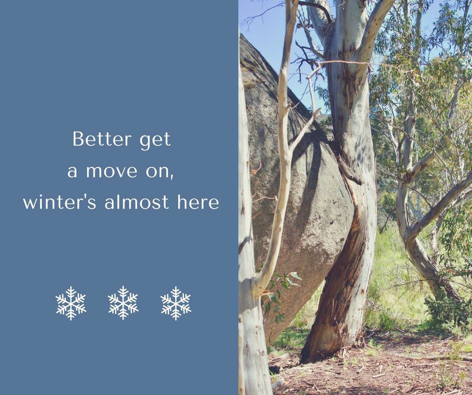 ValhallaLodgeP's tweet photo. 2 months till opening. Not that we're counting. This pic was taken on the Waterfall Walking Track in Kosciuszko NP. https://t.co/bGqGkWctD0