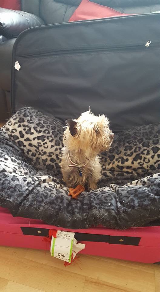 Lostbox-Lost & Found tweet media