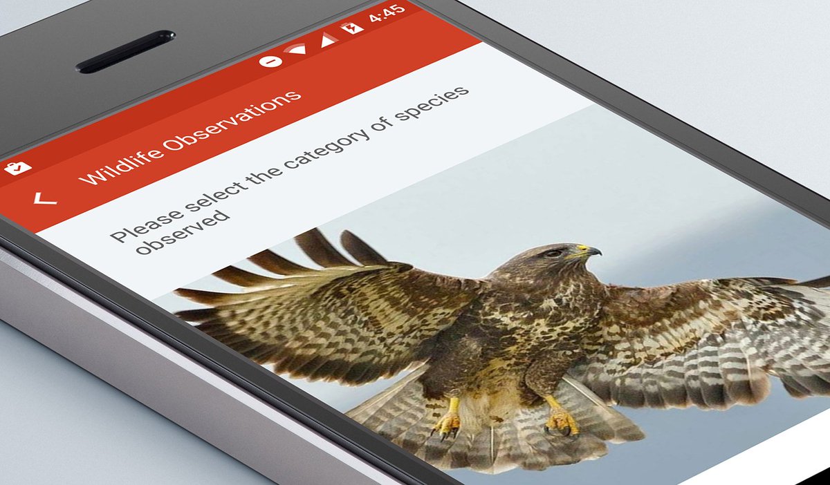 rltimeknowledge's tweet image. If you missed the latest post from #Realtimeknowledge click here:

realtimeknowledge.com/news/in-the-pi…

#Picture #TaskManagement #Workflow #Training