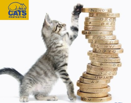 CPSNWE's tweet image. Become a volunteer Treasurer at our Stonehaven branch and maintain their finances to ensure continued great work bit.ly/2oPDdaQ