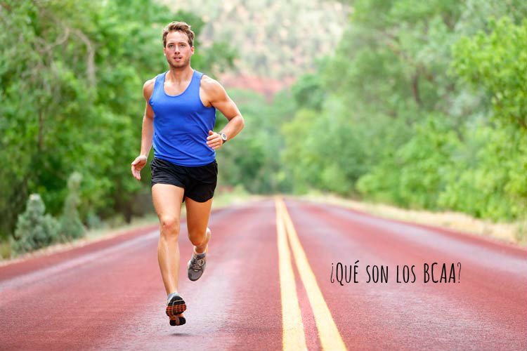 saludalimenta's tweet photo. ¿Qué son los BCAA?¿Ayudan al deportista? 
#alimentalasalud #nutrición #proteínas #deporte
https://t.co/CeCEyjDqi1 https://t.co/bMreQ4T7qd