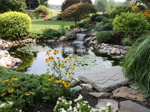 Aquaplancton's tweet photo. How to build a #wildlife #pond https://t.co/lmAZ2ubrsf https://t.co/srR6yVAT4t