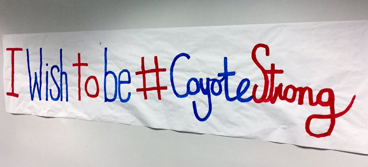 CeHSAZ's tweet photo. CeHS StuCo WISH WEEK our own Coyotes Wishes supporting MakeAWish Foundation #CoyotePride #CeHSPRIDE LOVEourCeHS StuCO https://t.co/brOKukUAeY