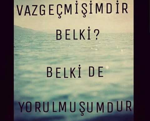 ✌Civcivum✌ (@ayyuzlum52) on Twitter photo 