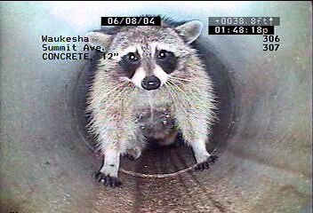 ITpipes's tweet image. PIpe Assessment training in Colorado this week - message us if your interested in coming! #nassco #pacp #pipelineassessment #charlesincharge