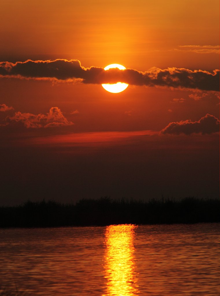 Piclogy's tweet photo. Sunset on Zambezi River, Zambia | Photography by ©Dietmar Temps https://t.co/dqkaPBVodT