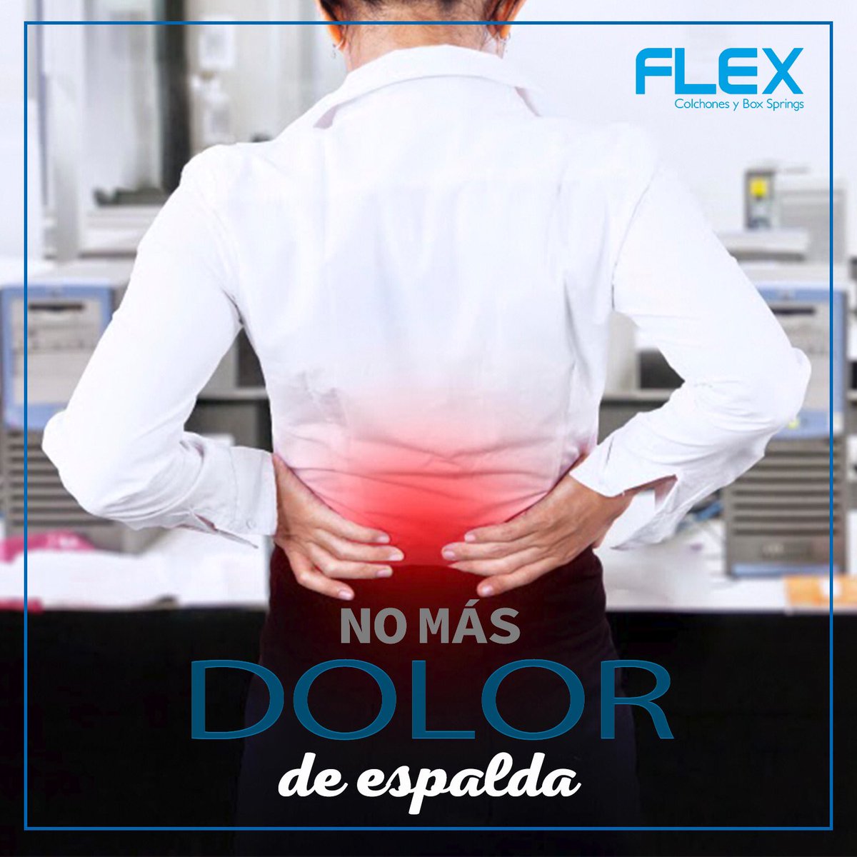Colchones Flex tweet media