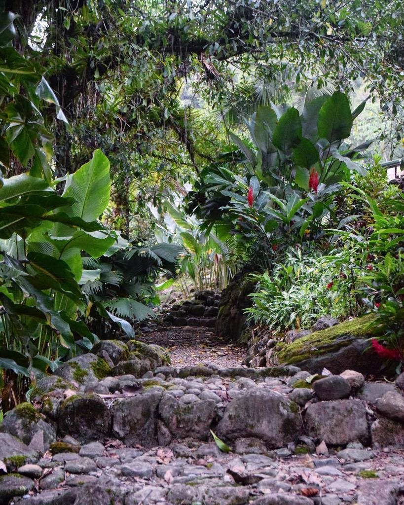 lifebysteve's tweet photo. The next time you're faced with a paved road or a stairway into the unknown... Take the stairs. #lifebysteve #make… https://t.co/uaSPoNt8XH https://t.co/jJLQicPXQy