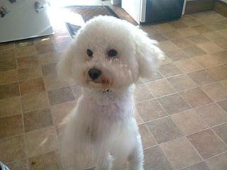 Lostbox - Wales tweet media