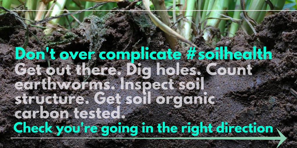 wormscience's tweet photo. Top tips for #soilhealth https://t.co/LnrqUCYj05