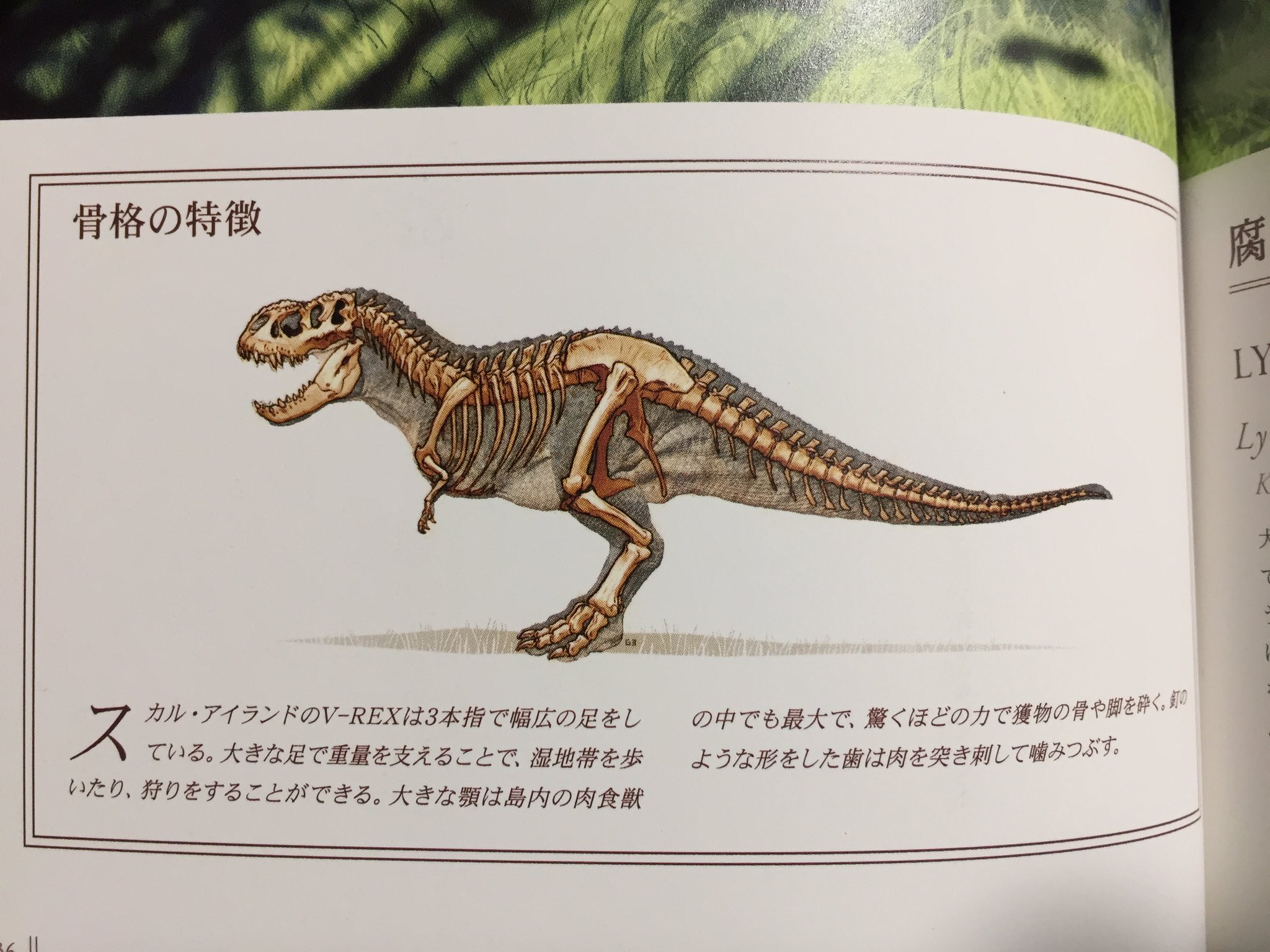 ガイス Twitter वर 05キングコングの髑髏島に生息する恐竜の骨格図 スケール無い 1 ヴァスタトサウルス レックス 2 ヴェナトサウルス サエヴィディクス 3 フェルクタス ケラステス 4 ブロントサウルス バクスターイ T Co Xrlklne0yx Twitter ガイス Twitter वर 05キングコングの髑髏島に生息する恐竜の骨格図 スケール無い 1 ヴァスタトサウルス レックス 2 ヴェナトサウルス サエヴィディクス 3 フェルクタス ケラステス 4 ブロントサウルス バクスターイ T Co Xrlklne0yx Twitter