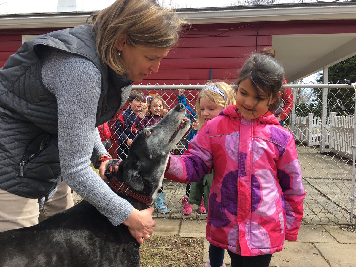 gettinglostcamp's tweet photo. During Red, taught Southborough Village Preschool about greyhounds! #futurestmarkers #futuresmlearns #smlearns https://t.co/AjiS4kfFGs
