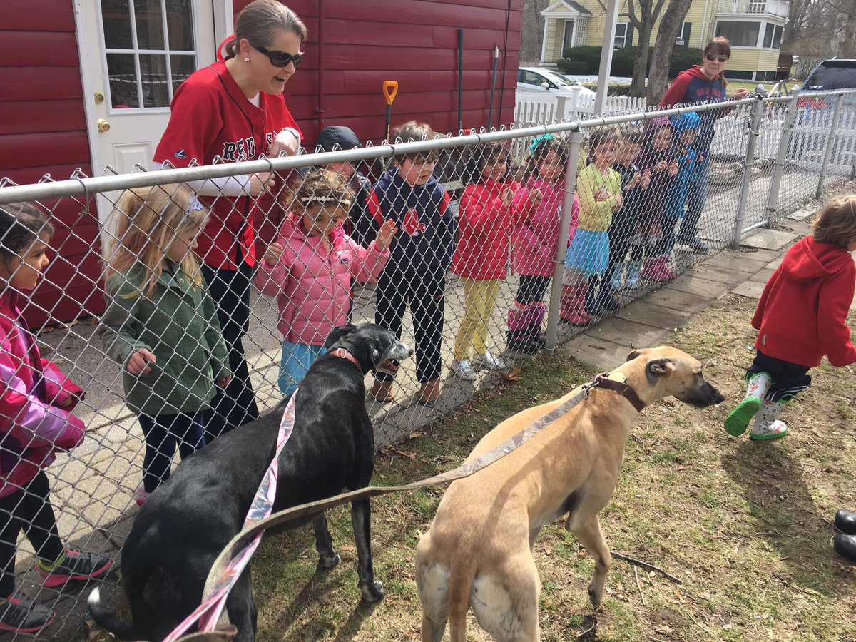 gettinglostcamp's tweet photo. During Red, taught Southborough Village Preschool about greyhounds! #futurestmarkers #futuresmlearns #smlearns https://t.co/AjiS4kfFGs