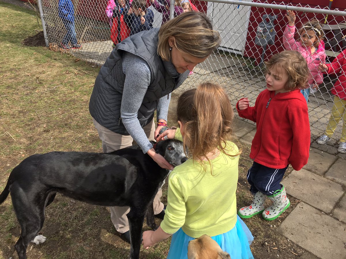 gettinglostcamp's tweet photo. During Red, taught Southborough Village Preschool about greyhounds! #futurestmarkers #futuresmlearns #smlearns https://t.co/AjiS4kfFGs