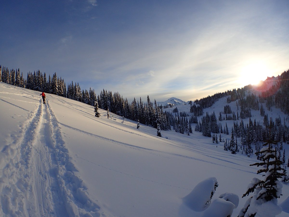Show us how you celebrate Adventure! Tag photos #LittleThingsWhistler to win a sightseeing tour from Blackcomb Heli! whistler.com/celebrate