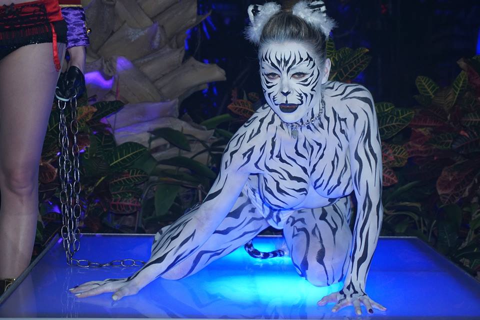 VSquaredEvents's tweet photo. Footage from the New Jersey Wine &amp; Food Festival 2017 cirque after-party at @CrystalSprings! #CirqueDuSoleil https://t.co/UOfYcjD94H