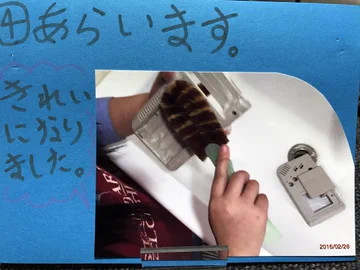 画像 / Picture