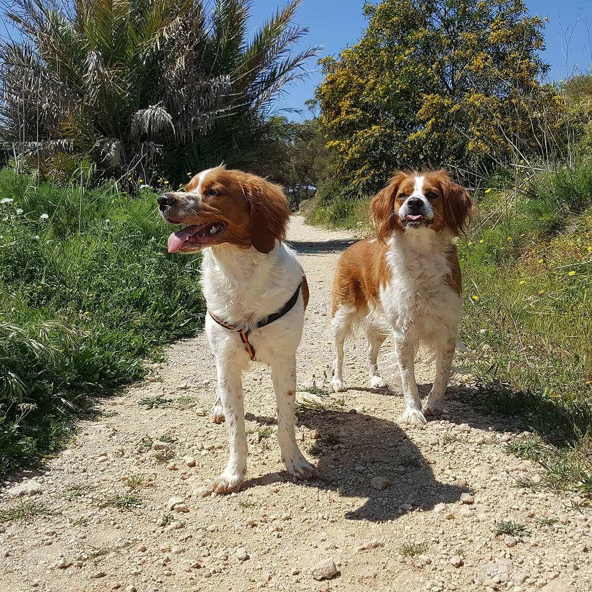 Vanreeser's tweet image. 😜.