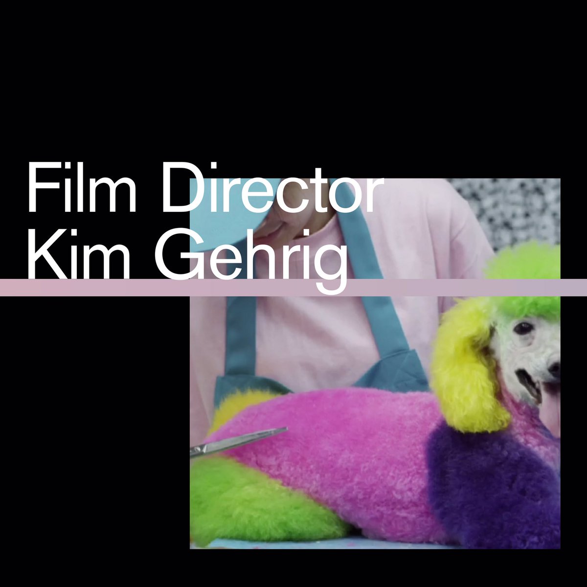 AcceptProceed's tweet photo. One starting point. Two different career paths. Ticket link in bio
#kimgehrig
#acceptandproceed https://t.co/NgGR22KIJ5