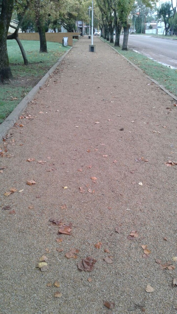 MuniSaladillo's tweet photo. #AHORA Continuamos con las mejoras en Plaza Falucho, lugar tan circulado por gente que sale a caminar en ese lugar 🏃‍♀️🏃💪 

#MejorConVos https://t.co/RTwWRsEyhp