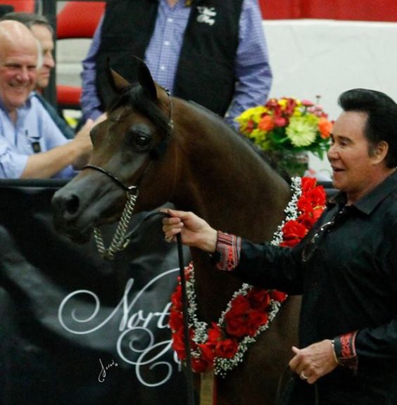 HAPPY BIRTHDAY 

Wayne Newton 