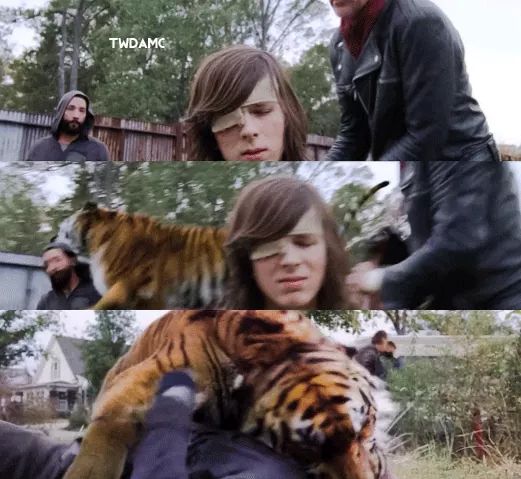 AAlissonluiz14's tweet photo. Hoje não Negan #TWD7NaFOX https://t.co/H8pOBmjQvC