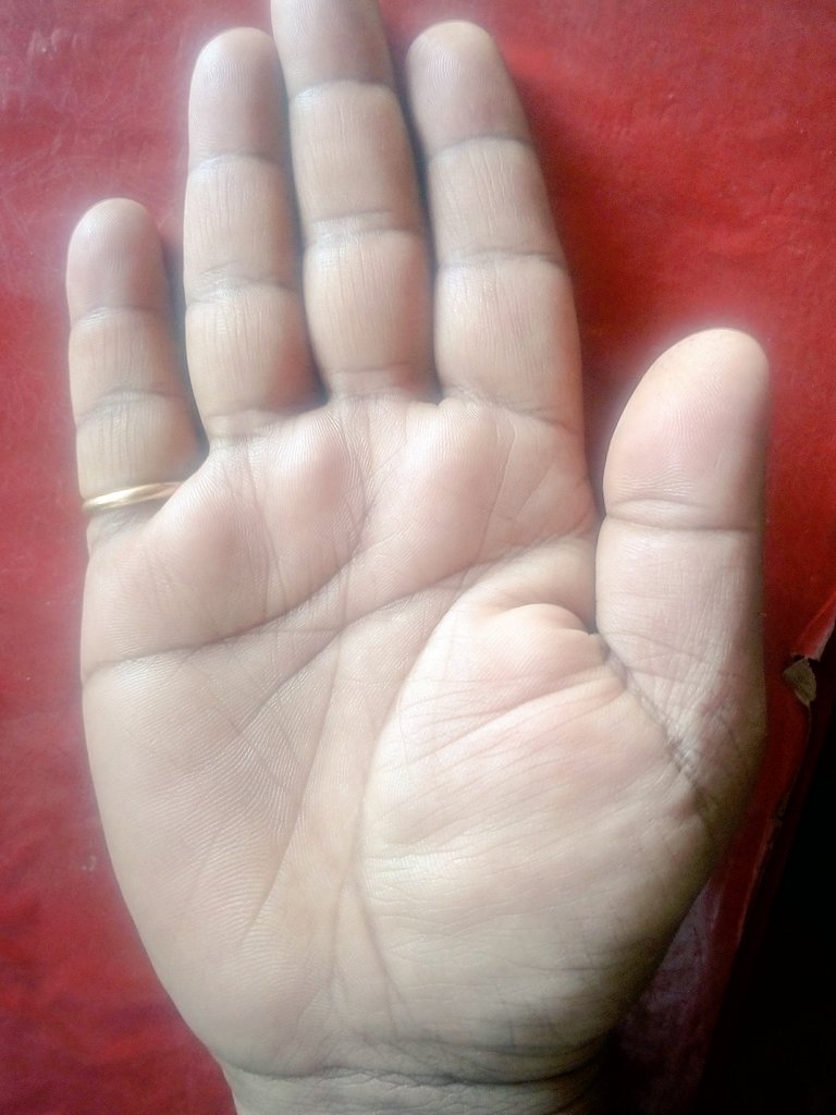 Santosh87129100's tweet photo. #rajivthehealer santosh soni I know about from 1business 2politics 3foreign https://t.co/vTh9atoBWw